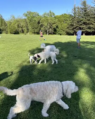 Rancho Laguna Park - Moraga, CA