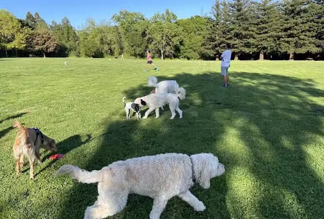 Rancho Laguna Park - Moraga, CA