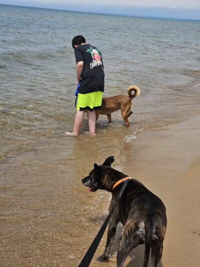 Lake Michigan Beach - Moran, MI