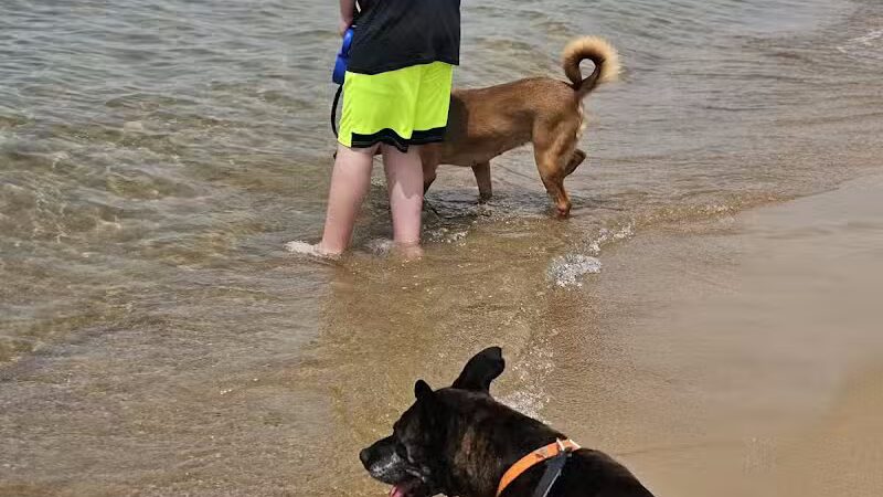 Lake Michigan Beach - Moran, MI