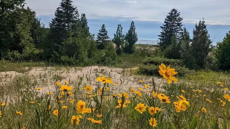 Lake Michigan Beach - Moran, MI