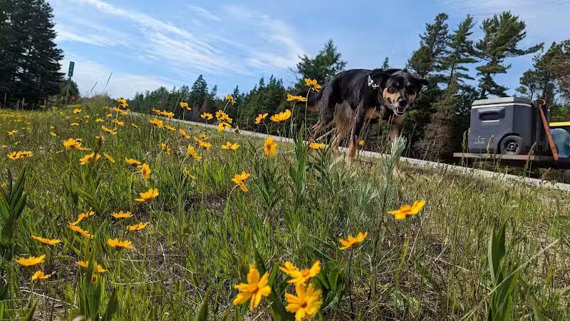 Lake Michigan Beach - Moran, MI