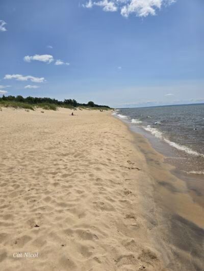Lake Michigan Beach - Moran, MI