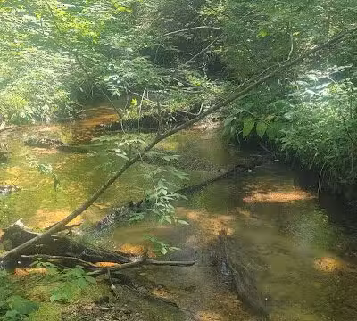 Rosy Run Trailhead - Roadside Parking - Morley,