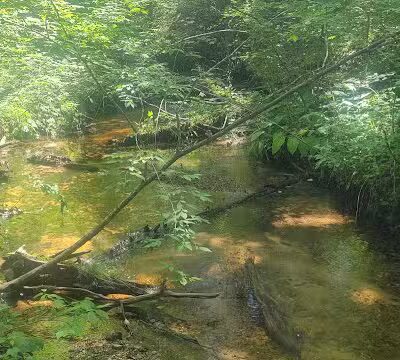 Rosy Run Trailhead - Roadside Parking - Morley,