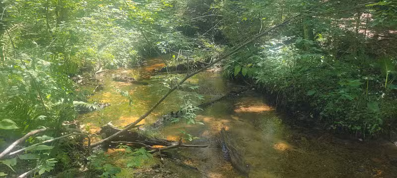 Rosy Run Trailhead - Roadside Parking - Morley,