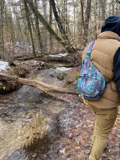 Rosy Run Trailhead - Roadside Parking - Morley,