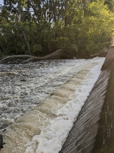 Pomme De Terre Dog Park - Morris, MN