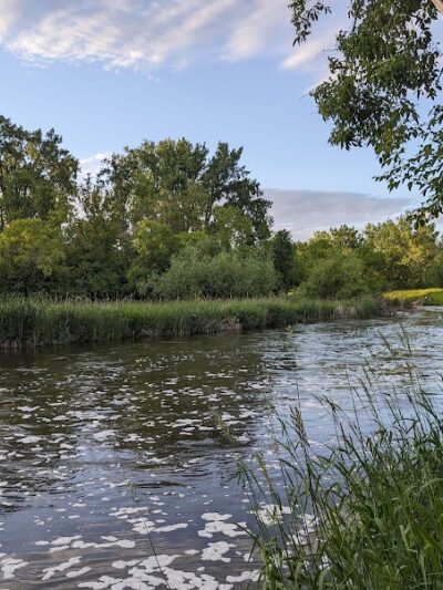 Pomme De Terre Dog Park - Morris, MN