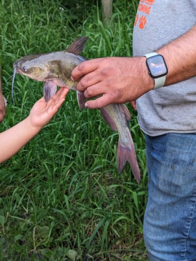 Pomme De Terre Dog Park - Morris, MN