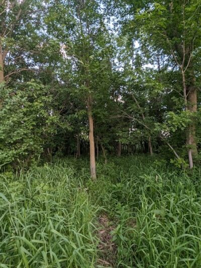 Pomme De Terre Dog Park - Morris, MN