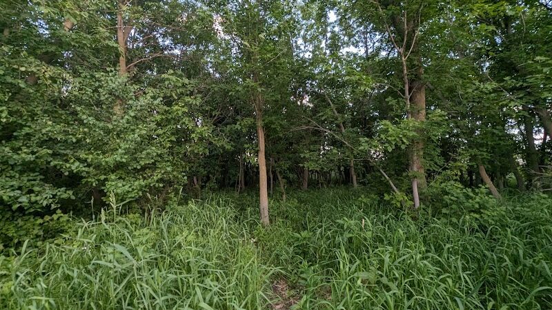 Pomme De Terre Dog Park - Morris, MN