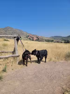 Mt Falcon Hiking Trail - Morrison, CO