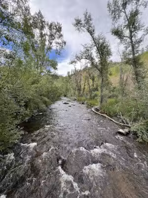 Trailhead - Morrison, CO
