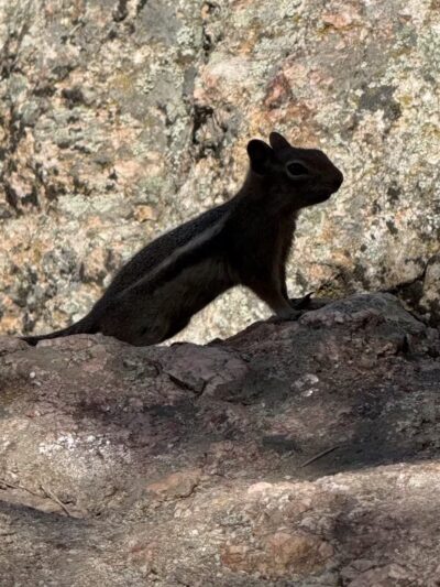 Corwina Park - Morrison, CO