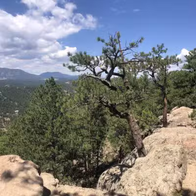 Corwina Park - Morrison, CO
