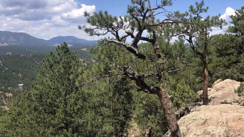 Corwina Park - Morrison, CO