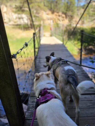 Corwina Park - Morrison, CO