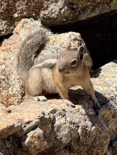 Corwina Park - Morrison, CO