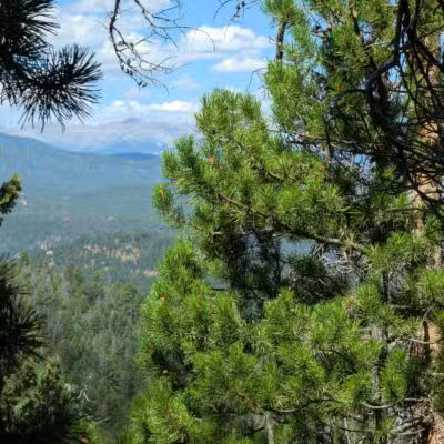 Meyer Ranch Park - Morrison, CO