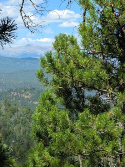 Meyer Ranch Park - Morrison, CO