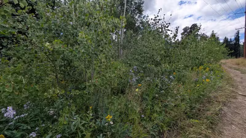 Meyer Ranch Park - Morrison, CO