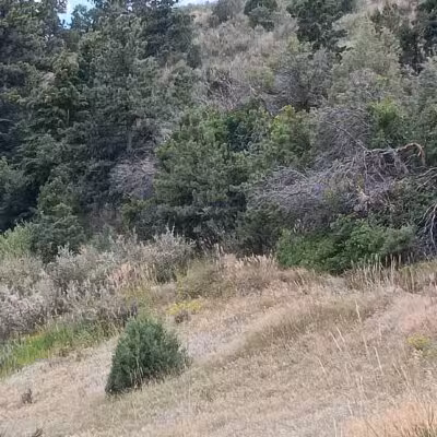 Morrison Trailhead - Morrison, CO