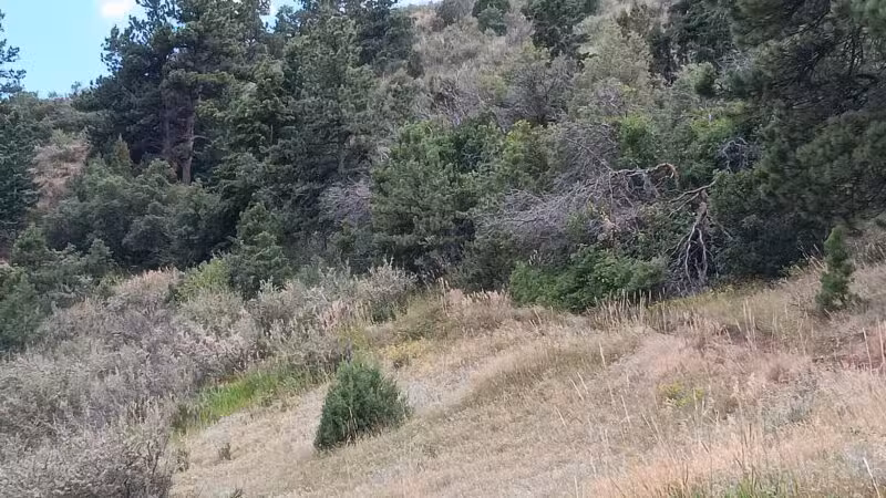 Morrison Trailhead - Morrison, CO