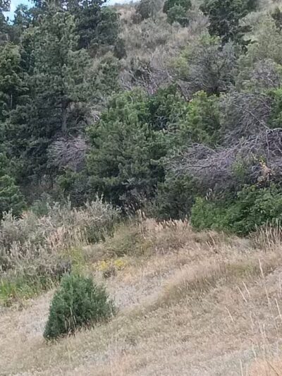 Morrison Trailhead - Morrison, CO