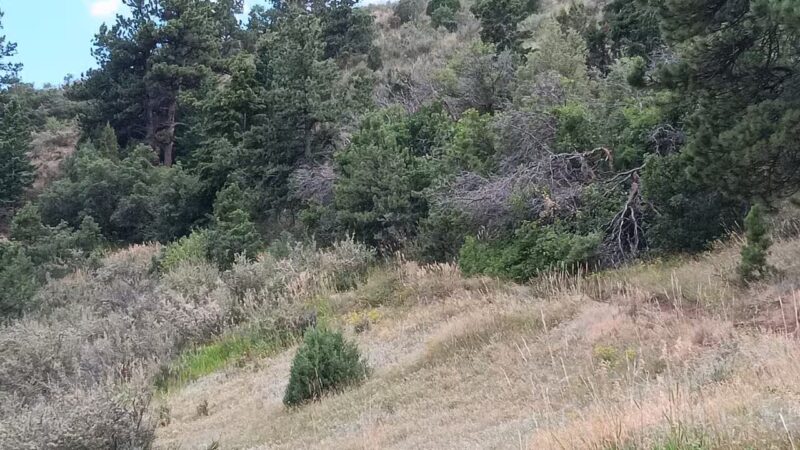 Morrison Trailhead - Morrison, CO