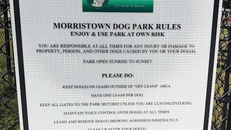 Morrisville Dog Play Park - Morrisville, VT