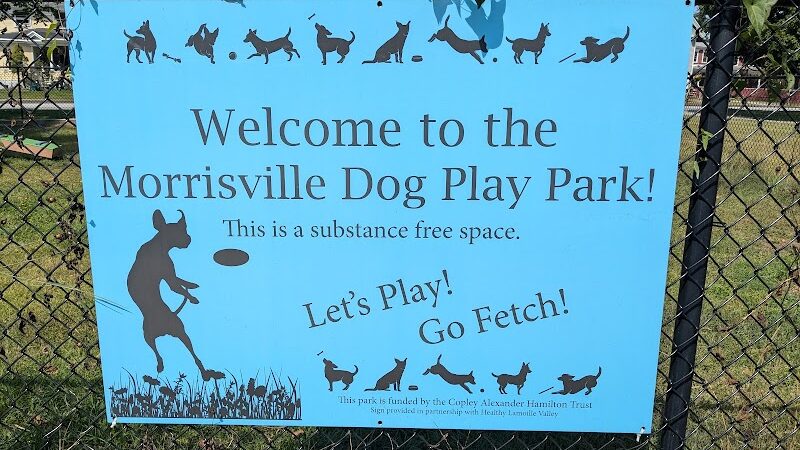 Morrisville Dog Play Park - Morrisville, VT