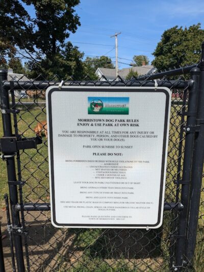 Morrisville Dog Play Park - Morrisville, VT