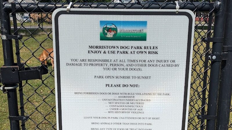 Morrisville Dog Play Park - Morrisville, VT