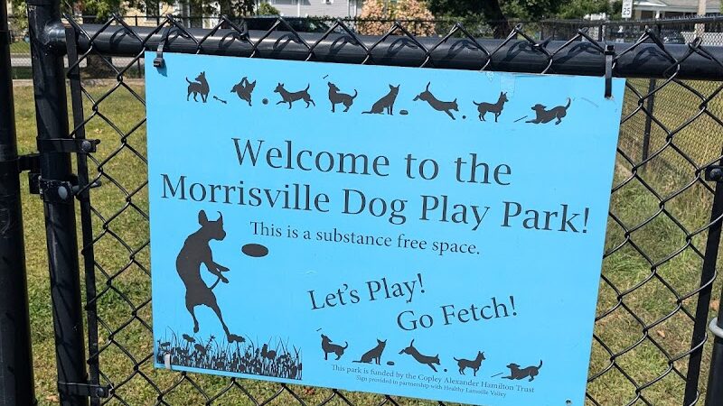Morrisville Dog Play Park - Morrisville, VT