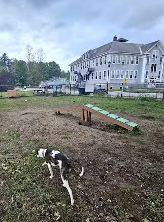 Morrisville Dog Play Park - Morrisville, VT
