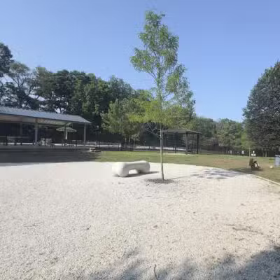 Echo Lake Dog Park - Mountainside, NJ