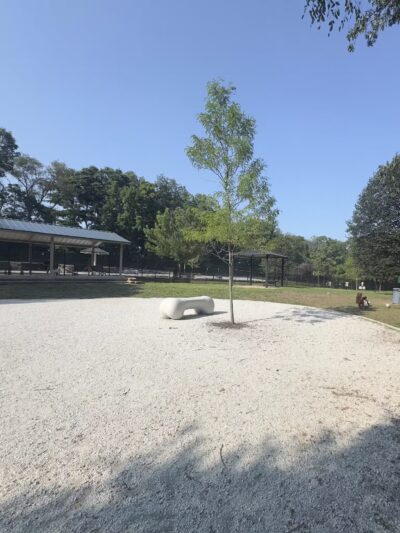 Echo Lake Dog Park - Mountainside, NJ