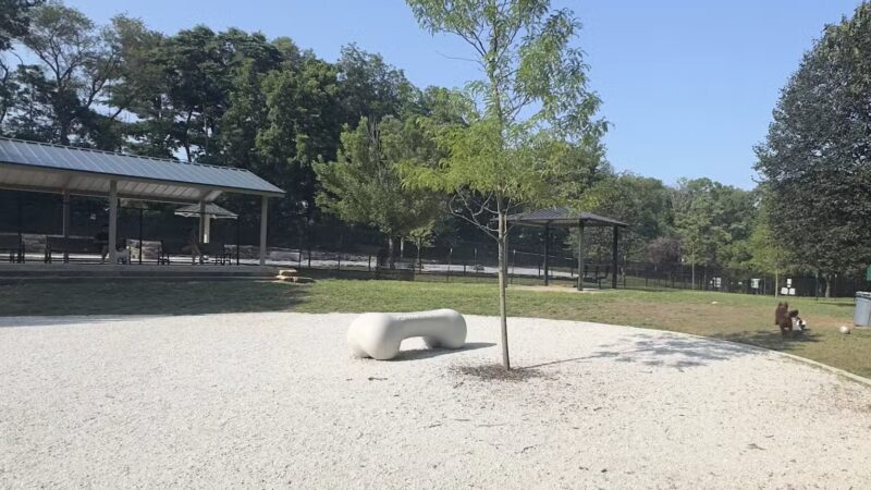 Echo Lake Dog Park - Mountainside, NJ