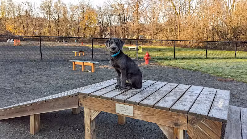 Echo Lake Dog Park - Mountainside, NJ
