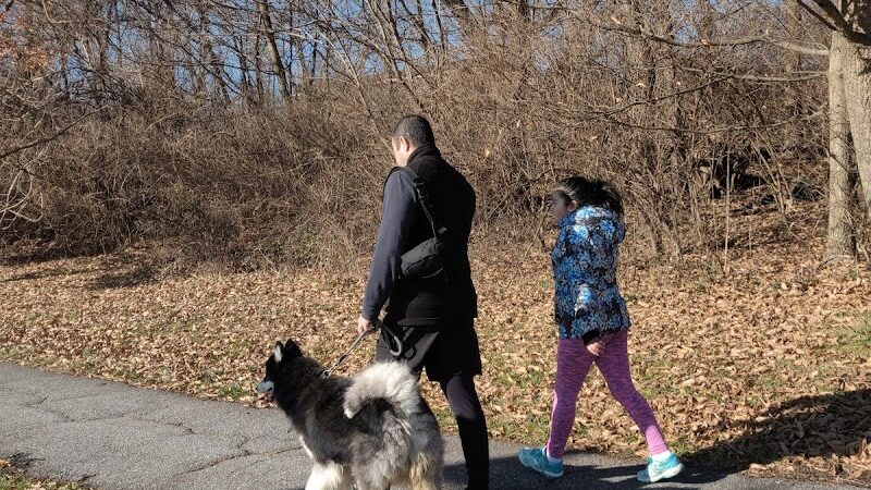 Watkins Park - Mount Airy Dog Park - Mt Airy, MD