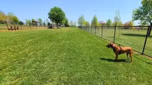 Watkins Park - Mount Airy Dog Park - Mt Airy, MD