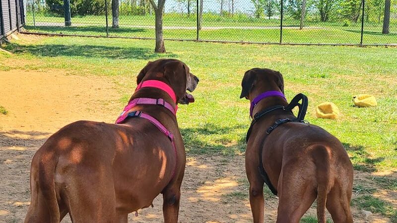 Watkins Park - Mount Airy Dog Park - Mt Airy, MD