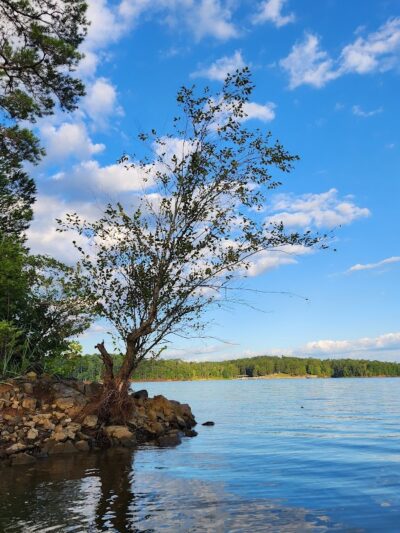 Mount Carmel Park - Mt Carmel, SC