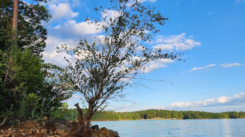 Mount Carmel Park - Mt Carmel, SC