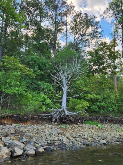 Mount Carmel Park - Mt Carmel, SC