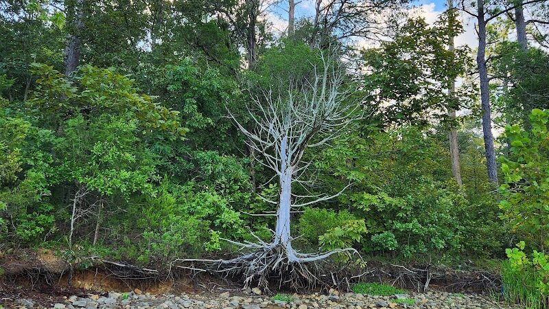 Mount Carmel Park - Mt Carmel, SC
