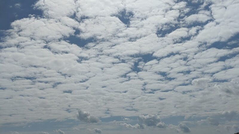 Mount Carmel Park - Mt Carmel, SC