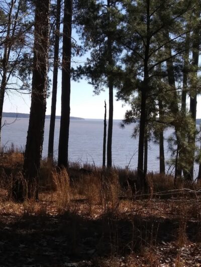 Mount Carmel Park - Mt Carmel, SC