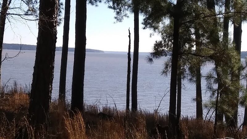 Mount Carmel Park - Mt Carmel, SC